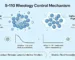 S-110-Rheology-Control-mechanism