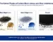 The Optical physics of carbon black jetness and blue undertones